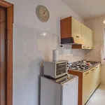 Il Daino *